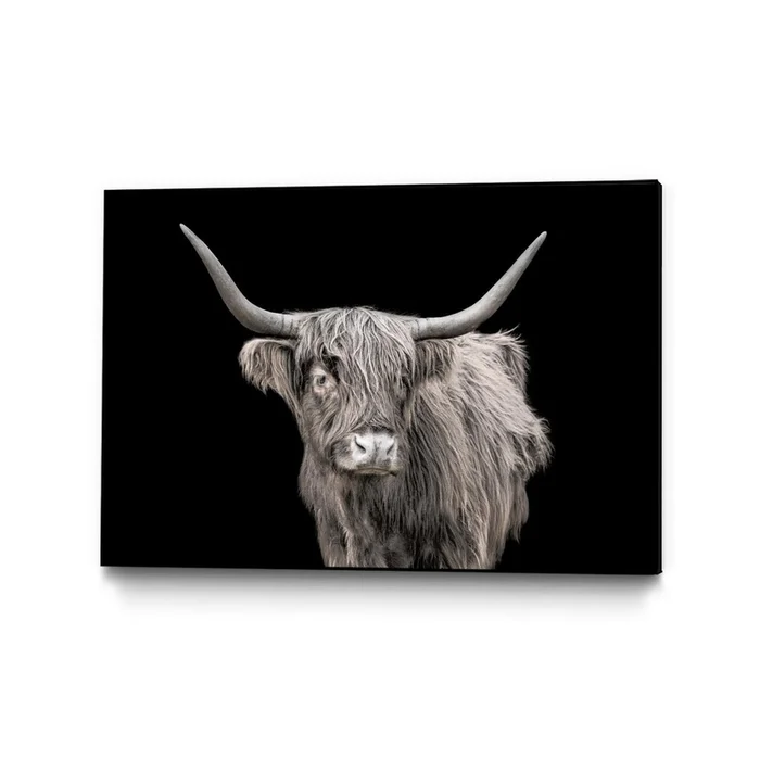 A New Kid In Town Canvas Framed Black 36×24 Wall Art|uvre dart murale sur toile encadre noire A New Kid In Town 36×24