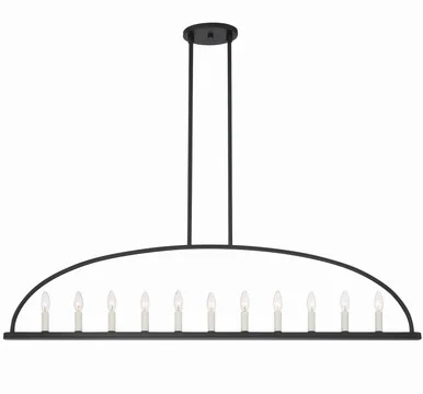 Abbott 11 Light Chandelier in Black (60|ABB-3009-BK)