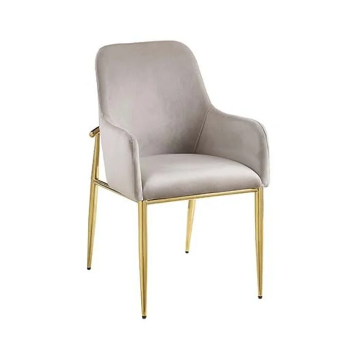 Acme Furniture Barnard Side Chair (Set of 2) in Mirrored Gold DN00220 EST SHIP TIME APPX 4 WEEKS