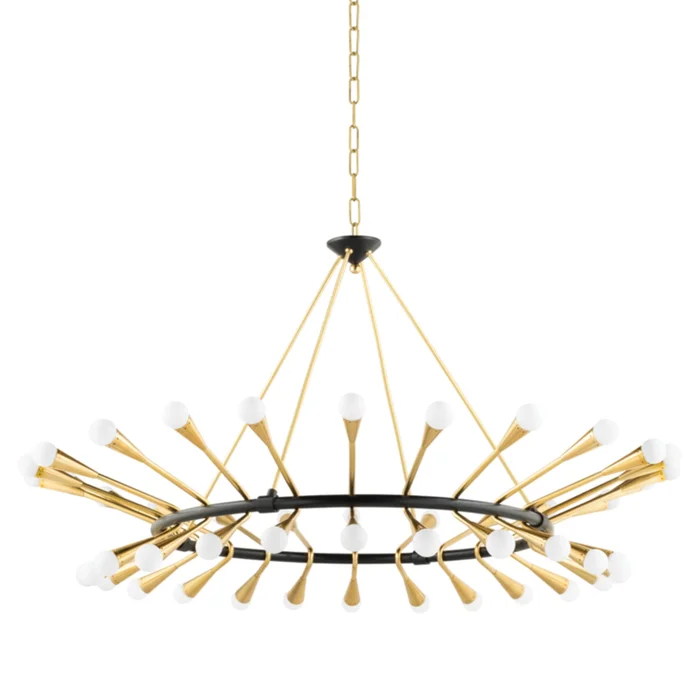 Aries 48-Light Chandelier in Vintage Polished Brass/Black Brass 56L x 56W x 26.75H