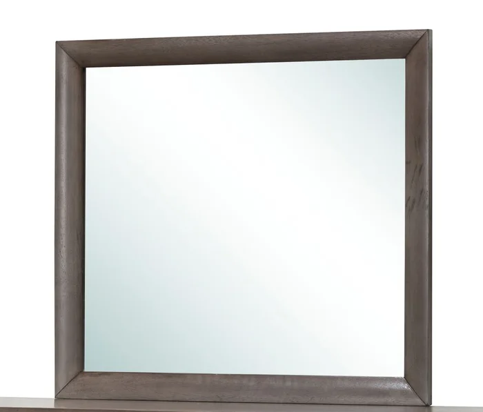 Glory Furniture Mirror in Gray G1505-M