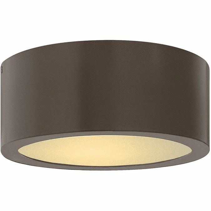 Hinkley 1665BZ Luna Modern Bronze LED Outdoor Ceiling Light