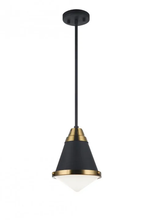 Lloyd Pendant (3605|C70801MBOP)
