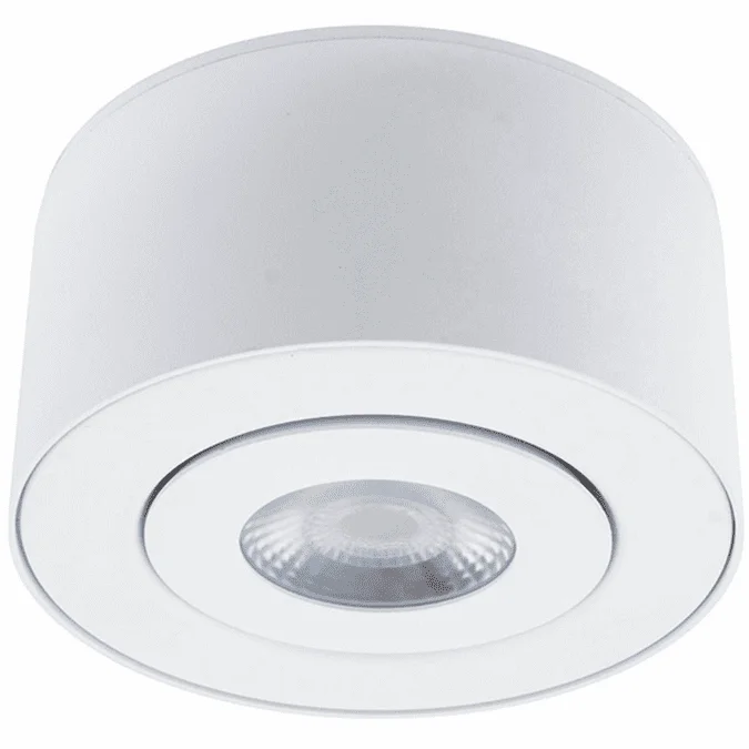 Modern Forms FM-W44205-WT I Spy Contemporary White LED Exterior Flush Mount Lighting