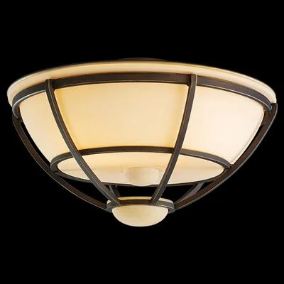 Monte Carlo Cage Light Kit (Wet Location) Roman Bronze MC211RB-L