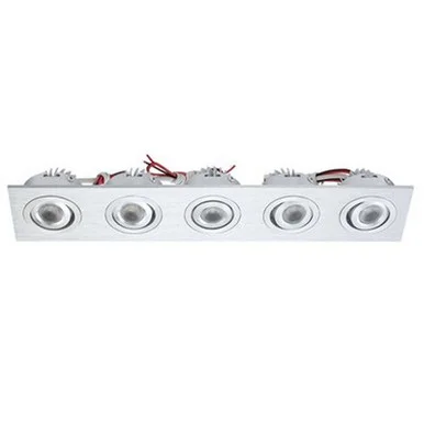 Rec Rect Directional Incl 5 Led + Driver in Brushed Aluminum (45|WLE605C32K-0-98)