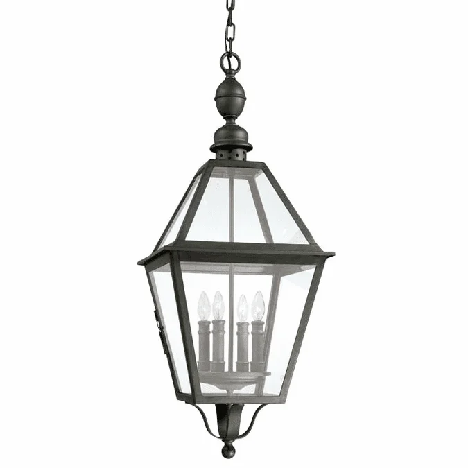Troy F9628-TBK Townsend Traditional Outdoor Hanging Pendant – 13.5 inches wide