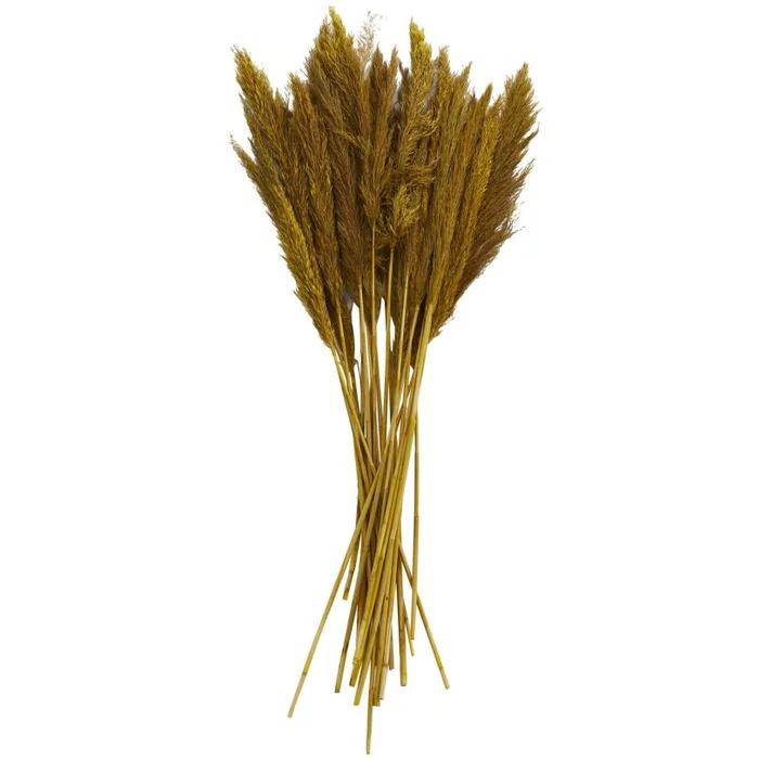 UMA Yellow Dried Plant Pampas Grass Home Decor Natural Foliage with Long Stems, 2″ x 1″ x 35″ | 12577 CLOSEOUT