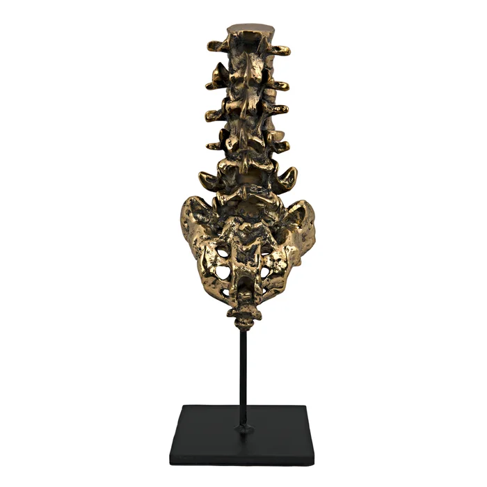 vertebrae, brass and steel