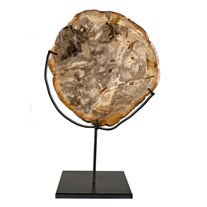 wood fossil with stand, 12″